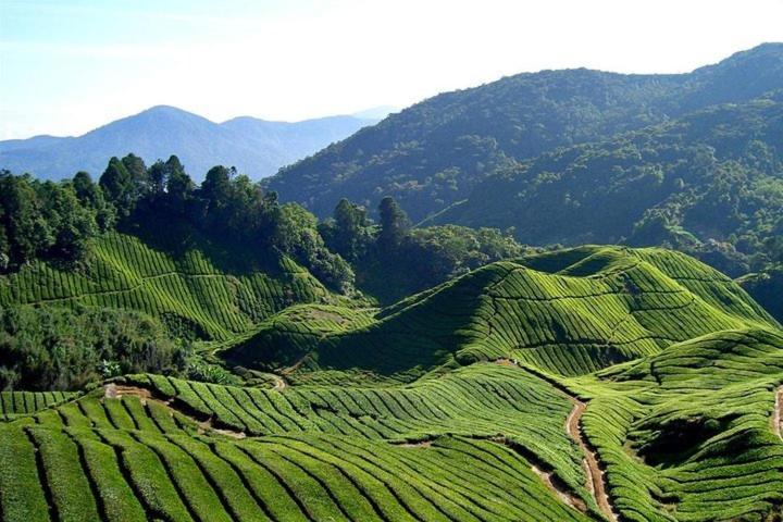 Sweet Homestay 3Rm @ Penthouse Apartment In Brinchang Luaran gambar